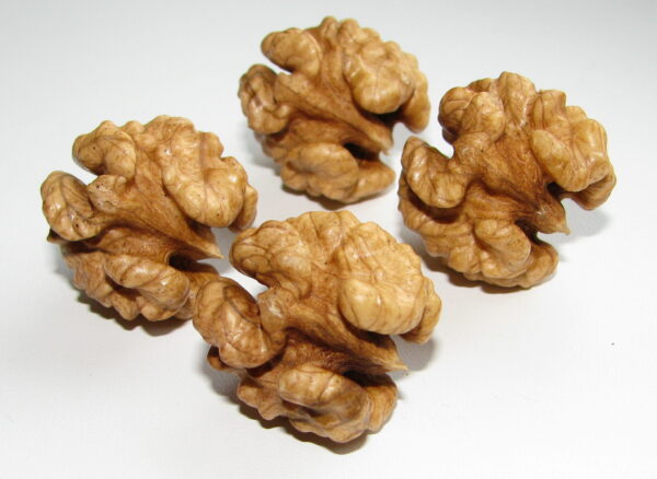 walnuts kernels